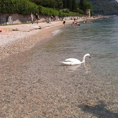 Chiara *